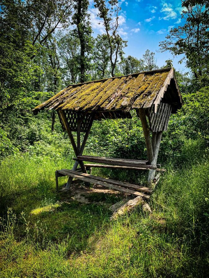 Gaestehaus An Der Berbke Arnsberg Exteriér fotografie